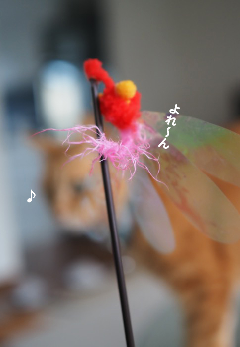 16日夕ブログ3