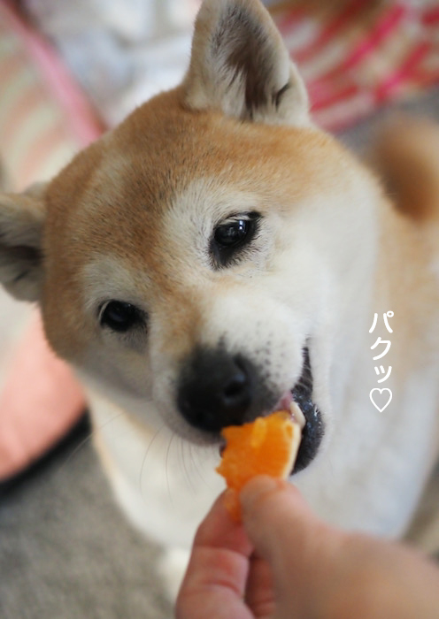 22日夜ブログ９