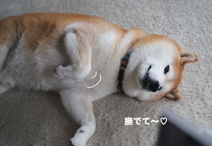17日夕ブログ２