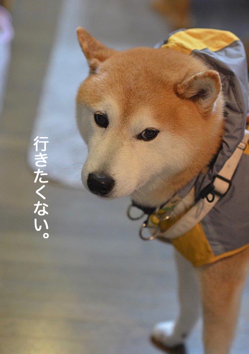 8日午前ブログ3