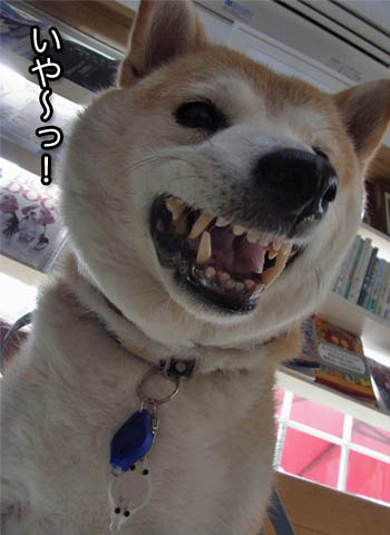 21日ブログ3.jpg