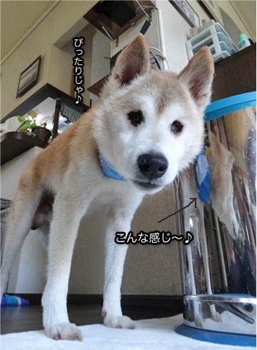 23日ブログ4.jpg