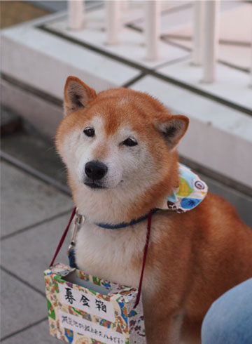 25日ブログ3.jpg