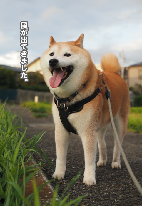 13日ブログ３