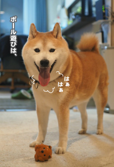 18日夕ブログ４