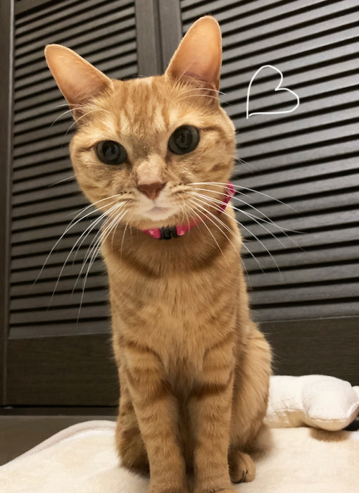 17日ブログ２