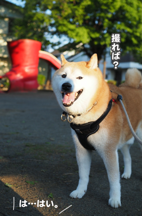 4日ブログ４