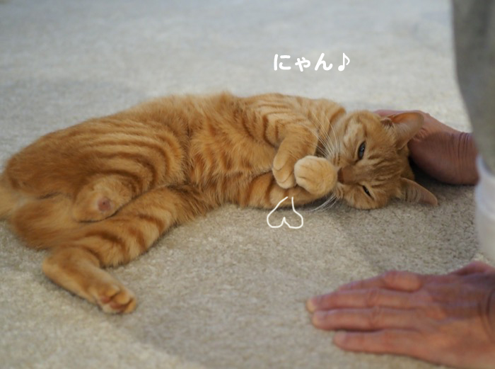 17日夜ブログ2