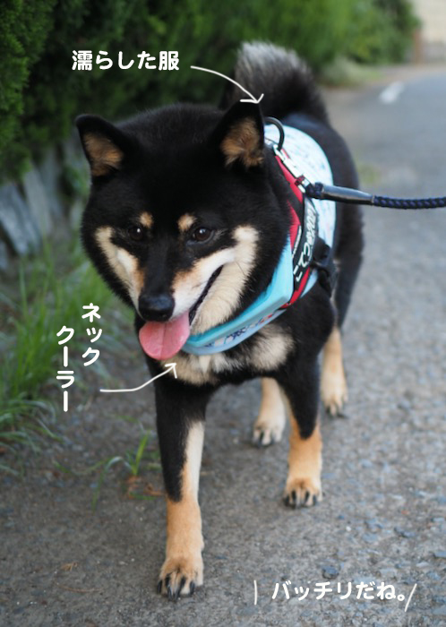 1日夕ブログ９