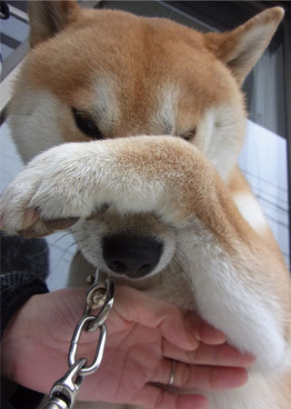 11日ブログ11.jpg
