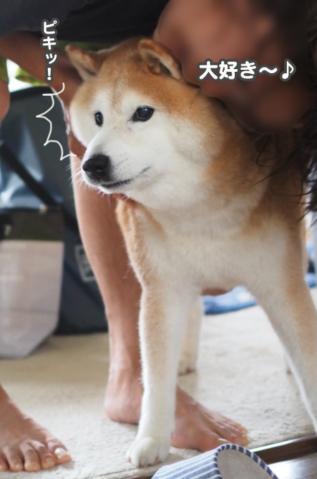 6日夕ブログ１１