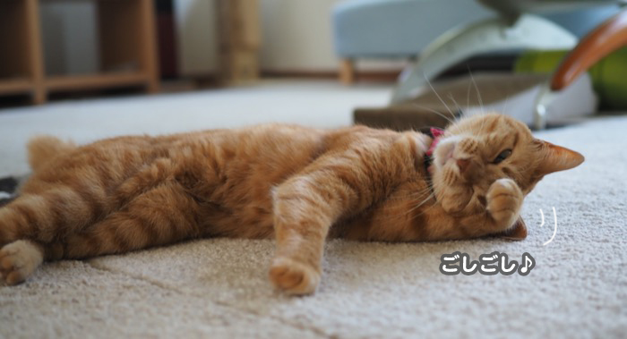 5日夕ブログ４