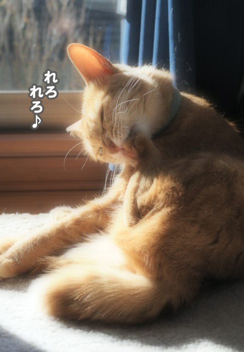 23日ブログ２