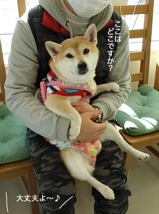 21日夜ブログ２