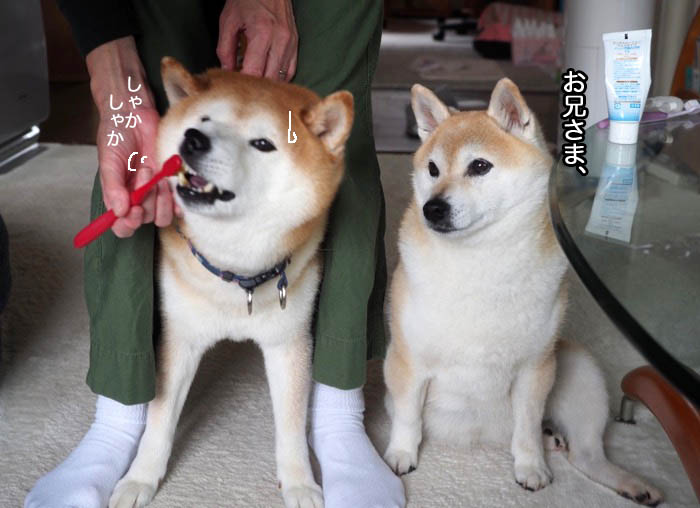 19日夜ブログ２