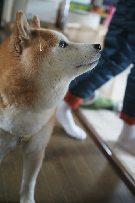 6日ブログ４