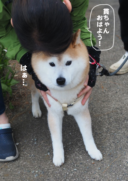 20日夕ブログ８