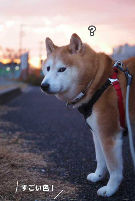 14日ブログ２