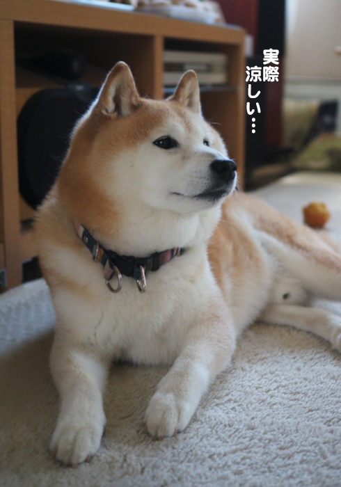 12日ブログ2