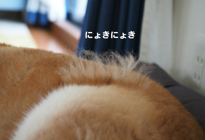 28日夕ブログ５