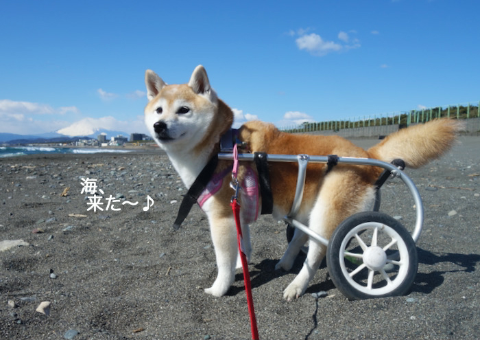 19日夜ブログ２