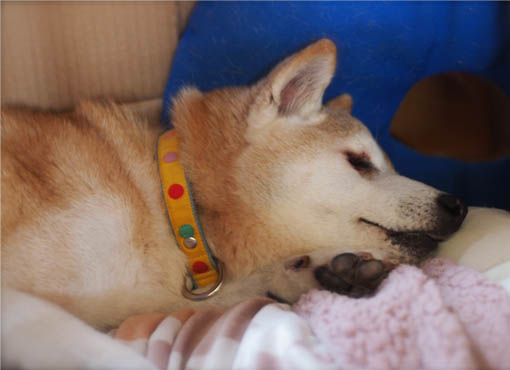 26日ブログ８.jpg