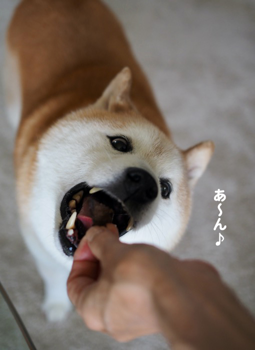 14日夕ブログ４