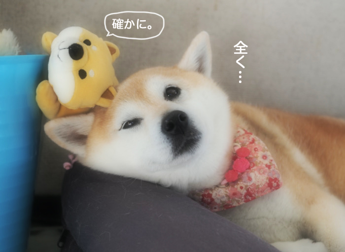 7日ブログ１２