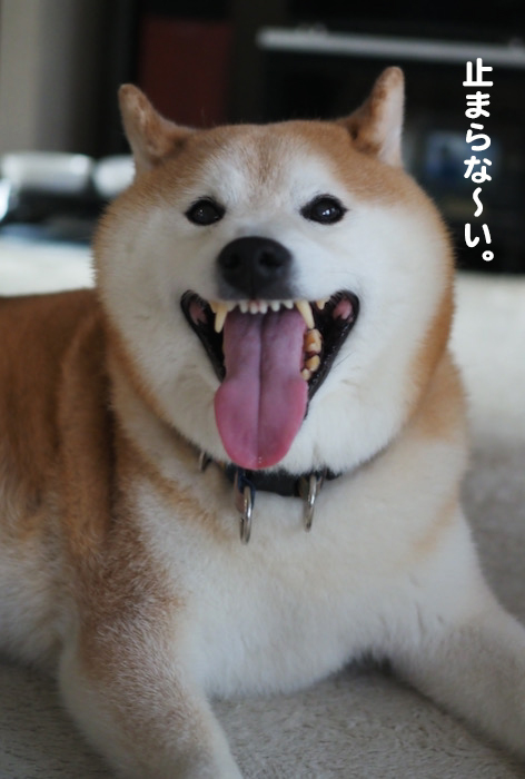 6日夜ブログ７