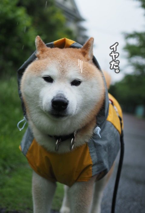 1日夜ブログ５