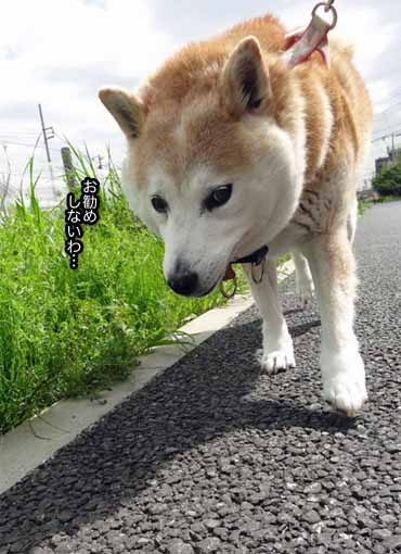 22日ブログ5.jpg