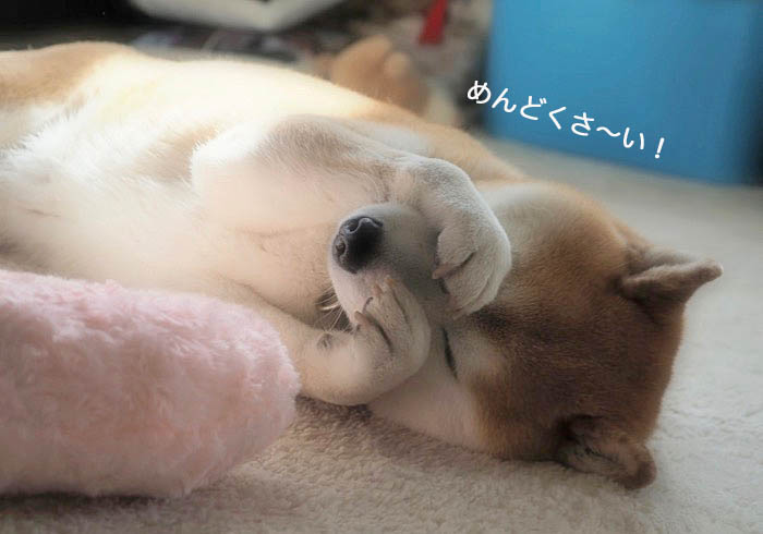 13日夜ブログ２