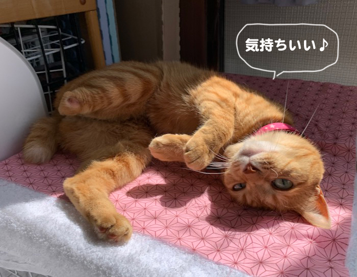 20日夕ブログ６