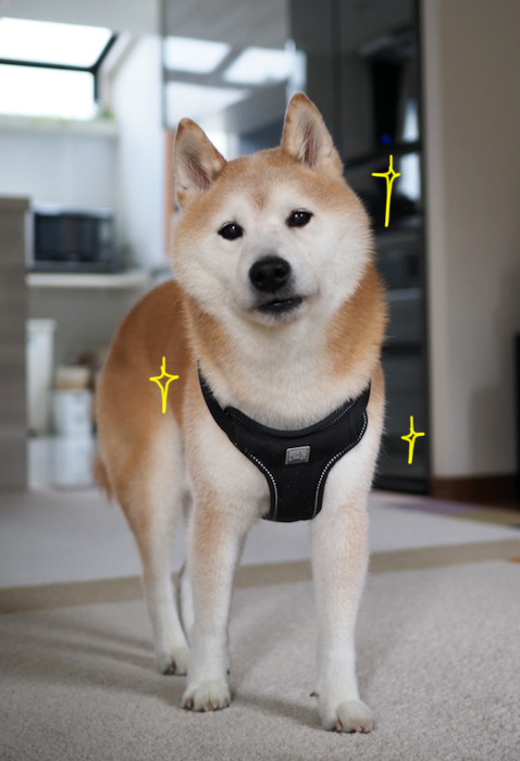 23日夕ブログ７