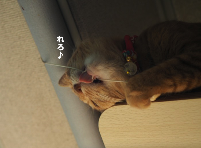5日夕ブログ６
