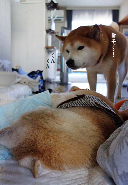 21日ブログ7