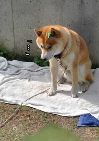 5日ブログ１０.jpg