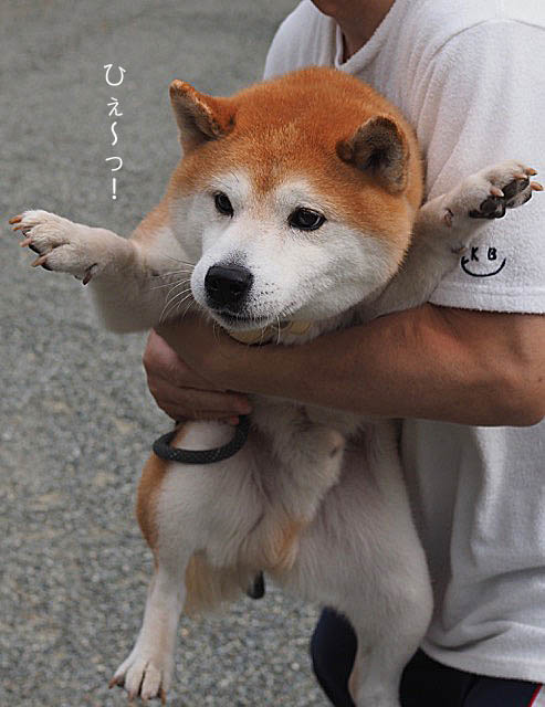 25日ブログ11