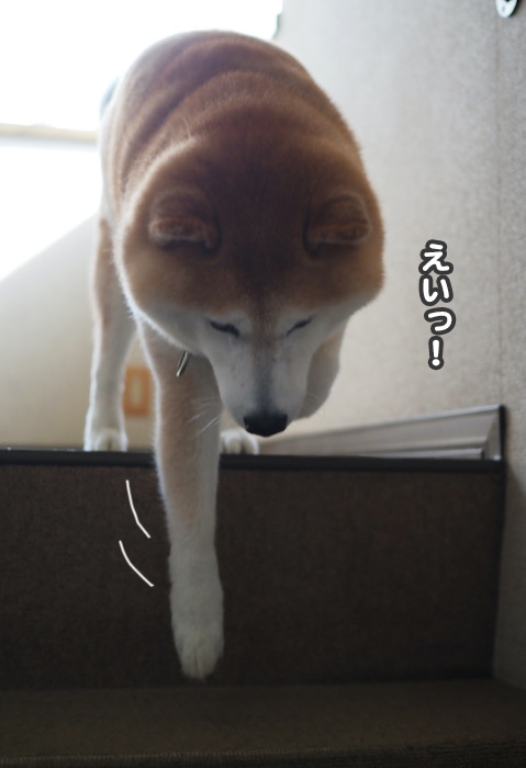 20日夕ブログ８