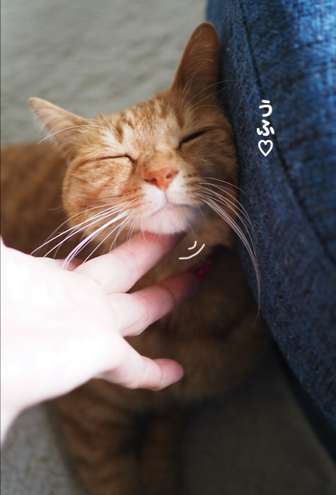 3日夕ブログ４