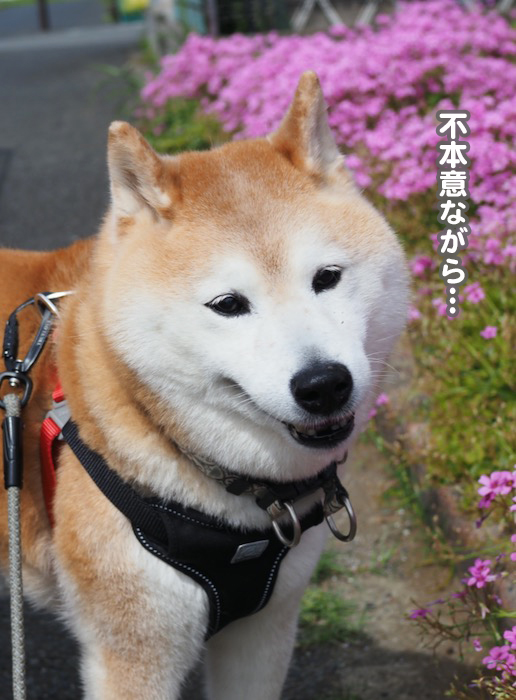 29日ブログ３