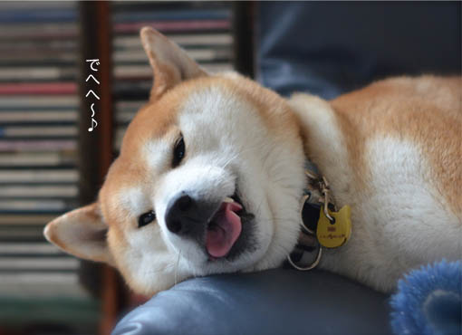 9日ブログ6.jpg