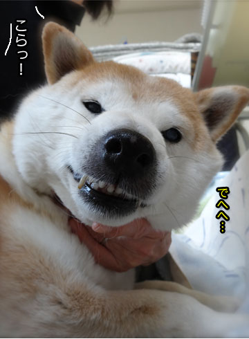 26日ブログ7.jpg