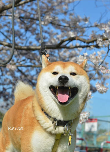 31日ブログ５.jpg