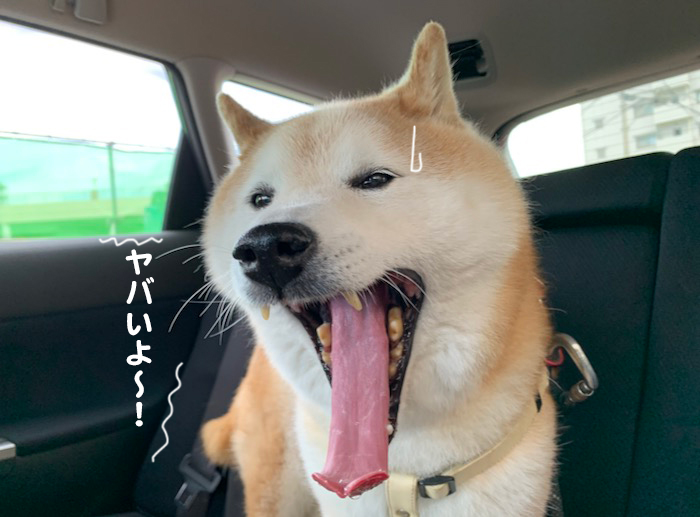 13日夕ブログ８