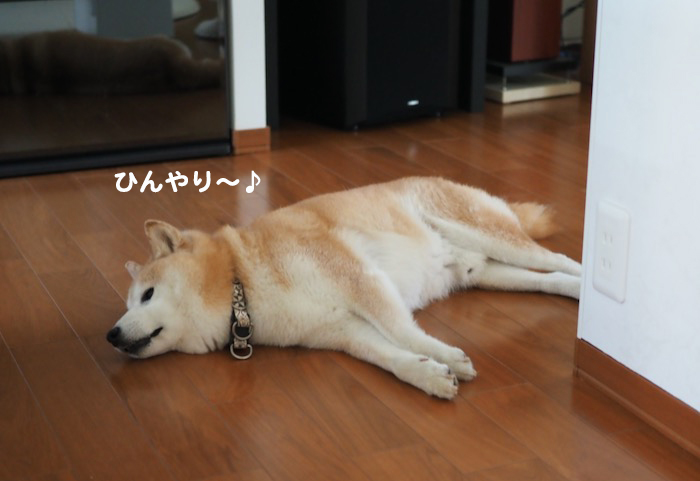 31日ブログ３