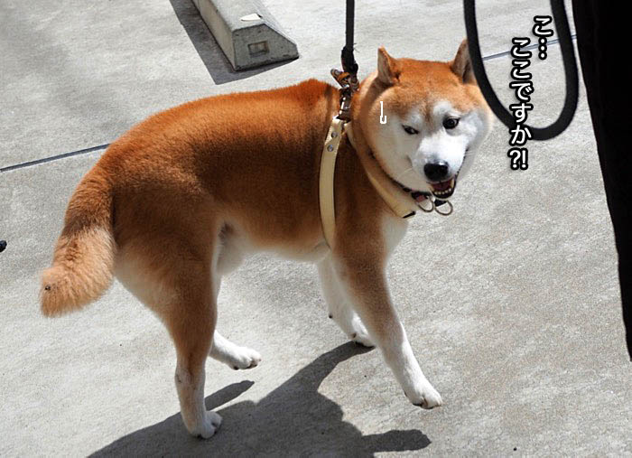 14日ブログ４