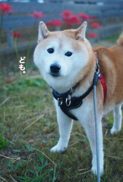 15日ブログ５