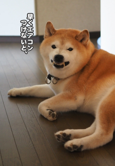 29日ブログ2