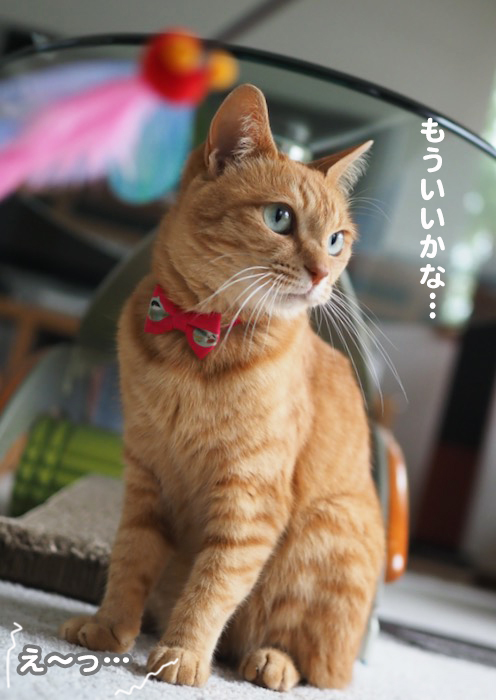 26日夕ブログ８
